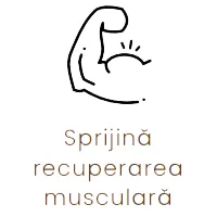 Sprijina recuperarea musculara
